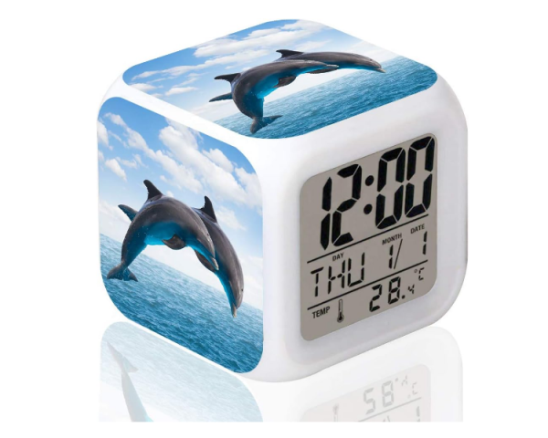 Alarm clock dolphin design